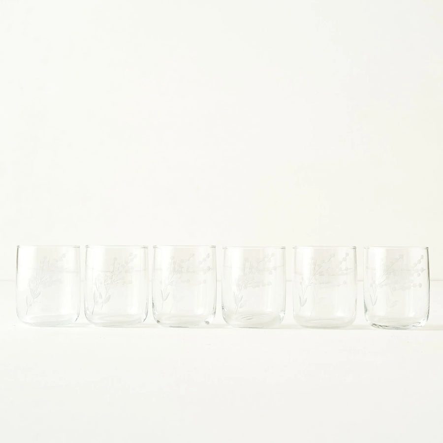 Exclusive Floral Etched Tumbler (Set of 6)