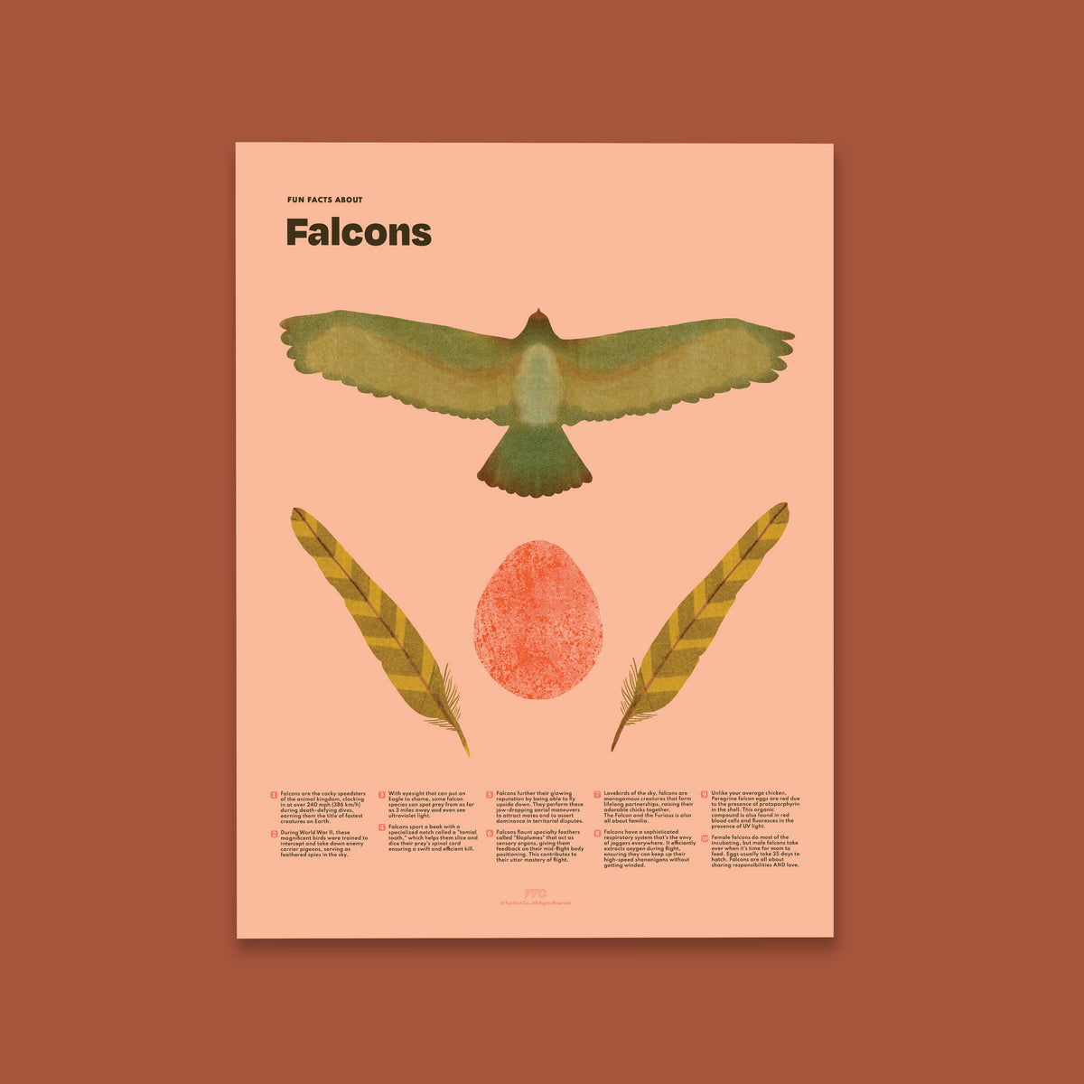 Falcon Fun Facts Print