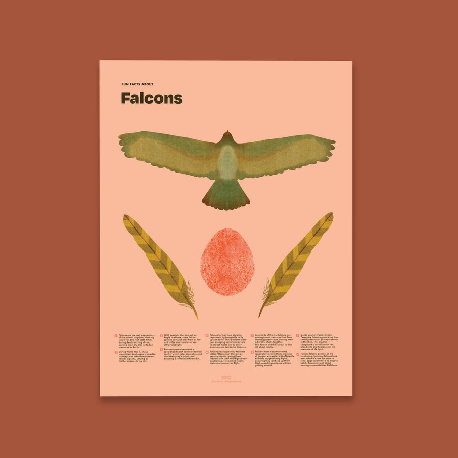Falcon Fun Facts Print