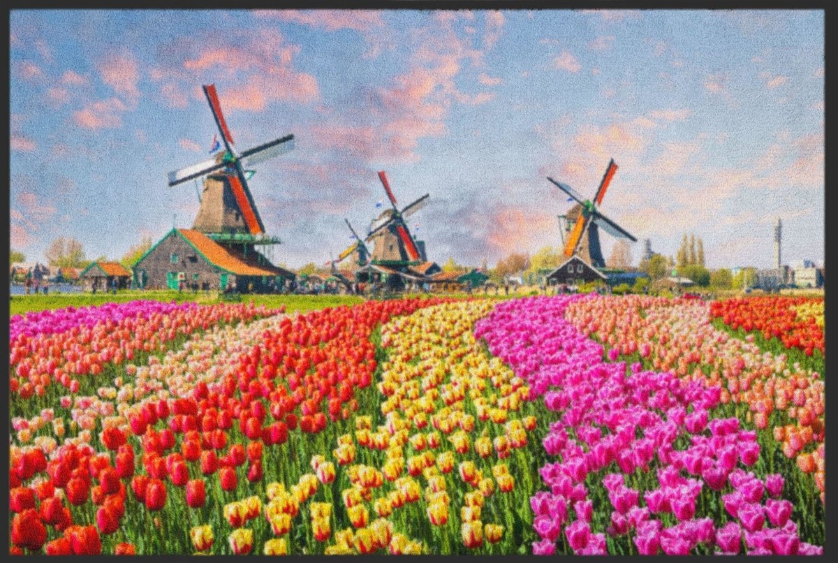 Fussmatte Holland 4556