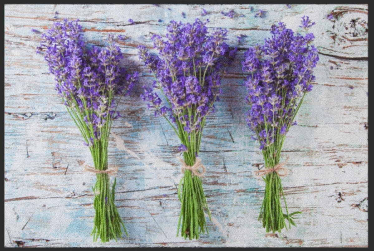 Fussmatte Lavendel 4641
