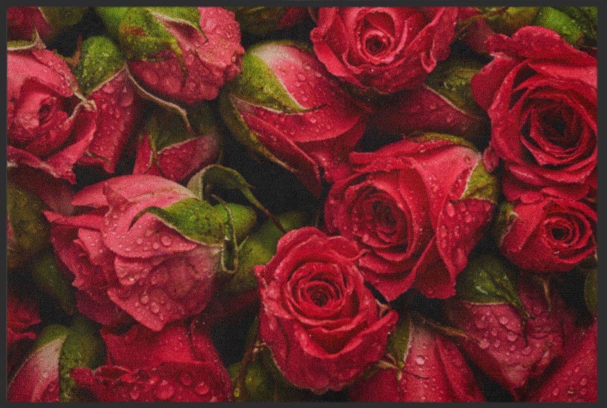 Fussmatte Rote Rosen 4619