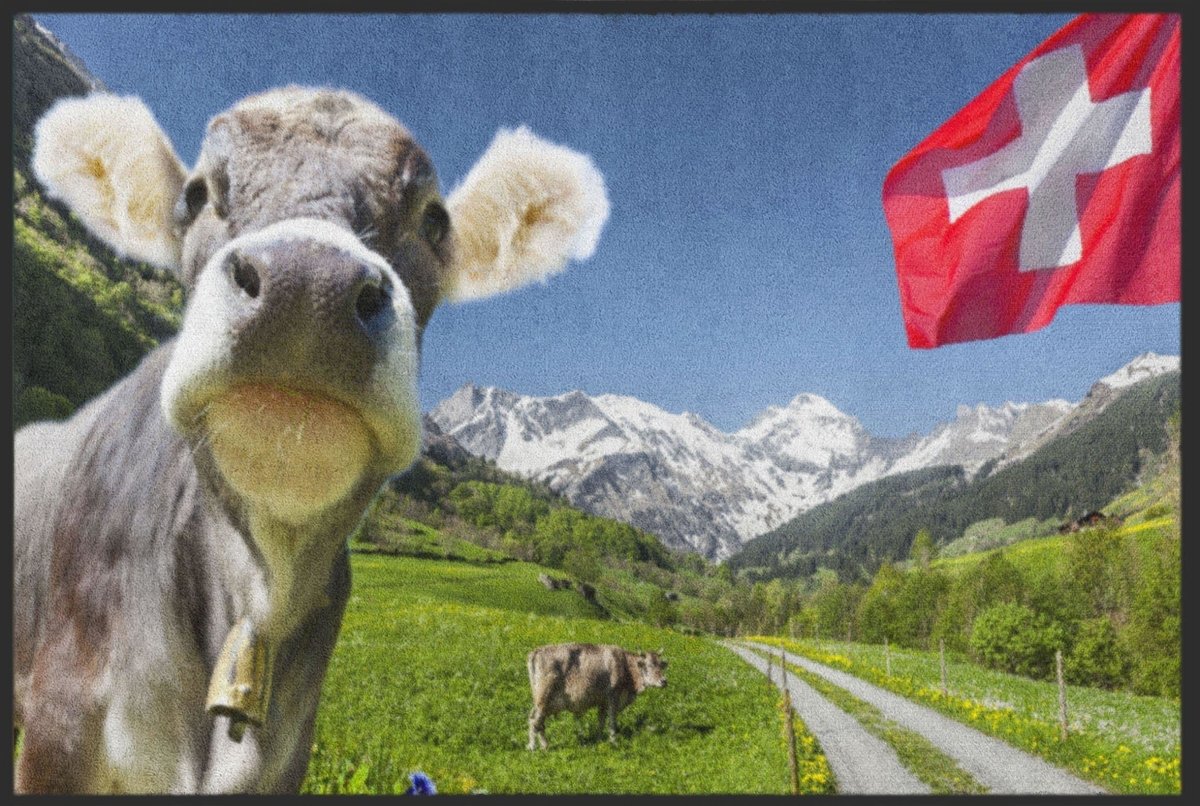 Fussmatte Schweiz 4506