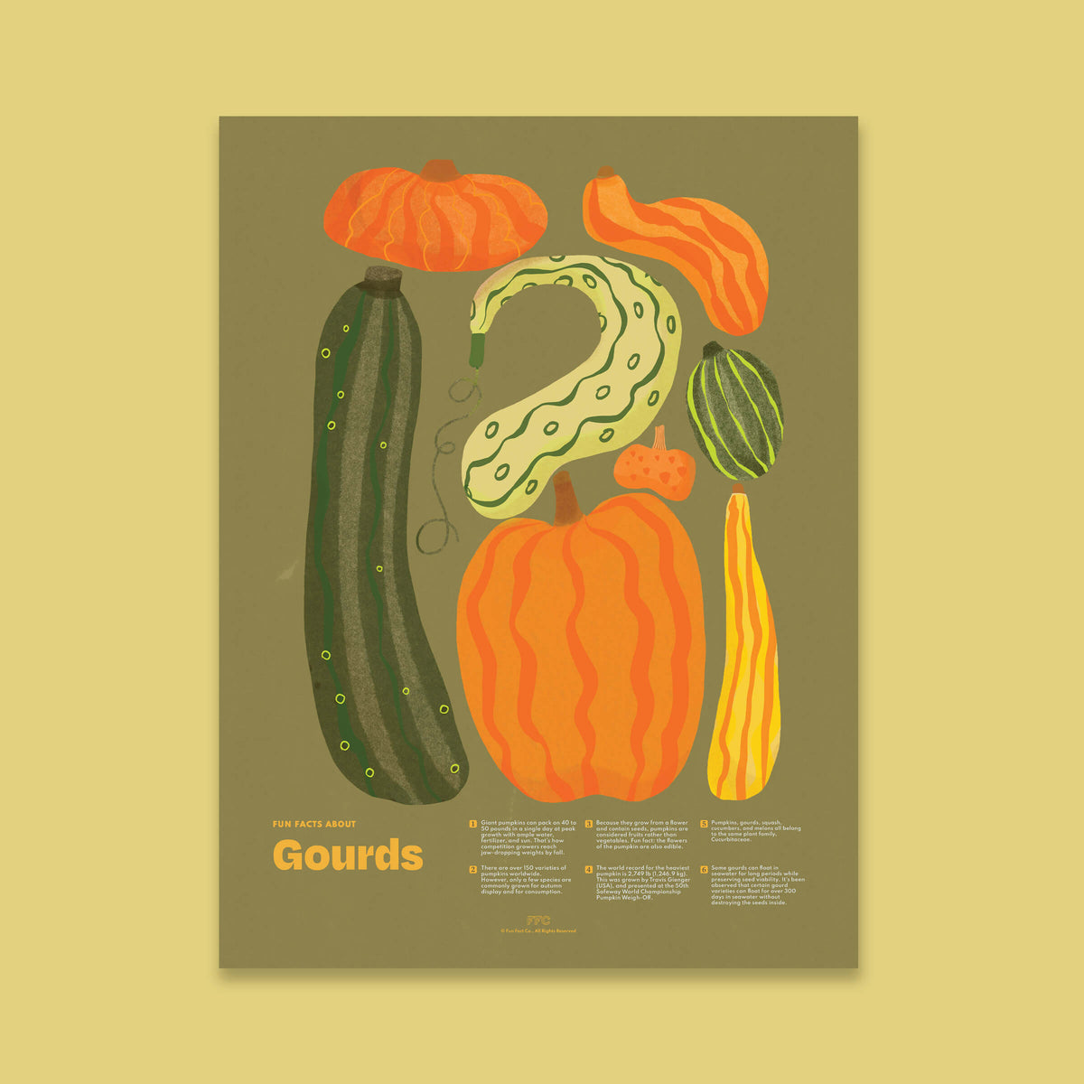 Gourd Fun Facts Print - 12x16" / Unframed