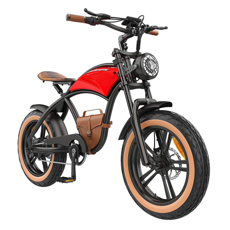 Hidoes B10 1000W 20-Inch Fat Tire Electric Bike with 48V 12.5Ah 600Wh Battery