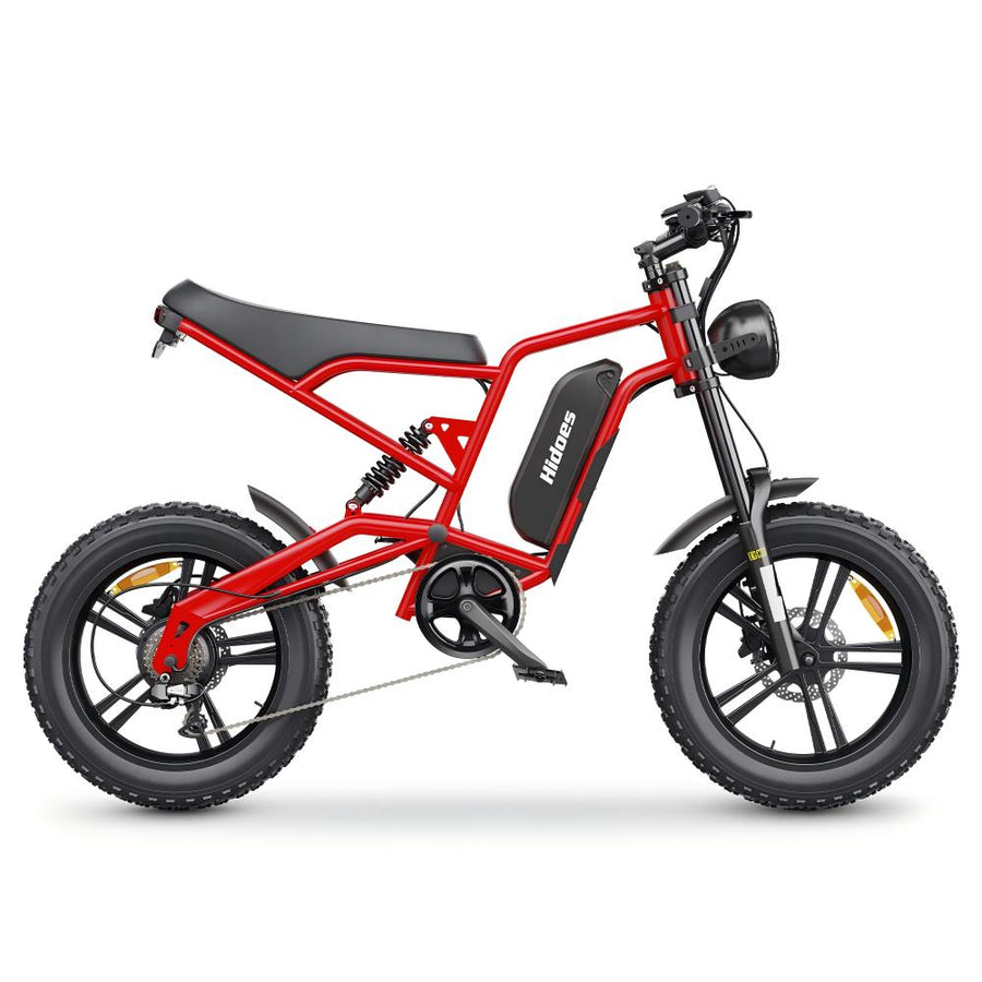 Hidoes B6 1200W 20-Inch Fat Tire Electric Bike with 48V 15Ah 720Wh Battery