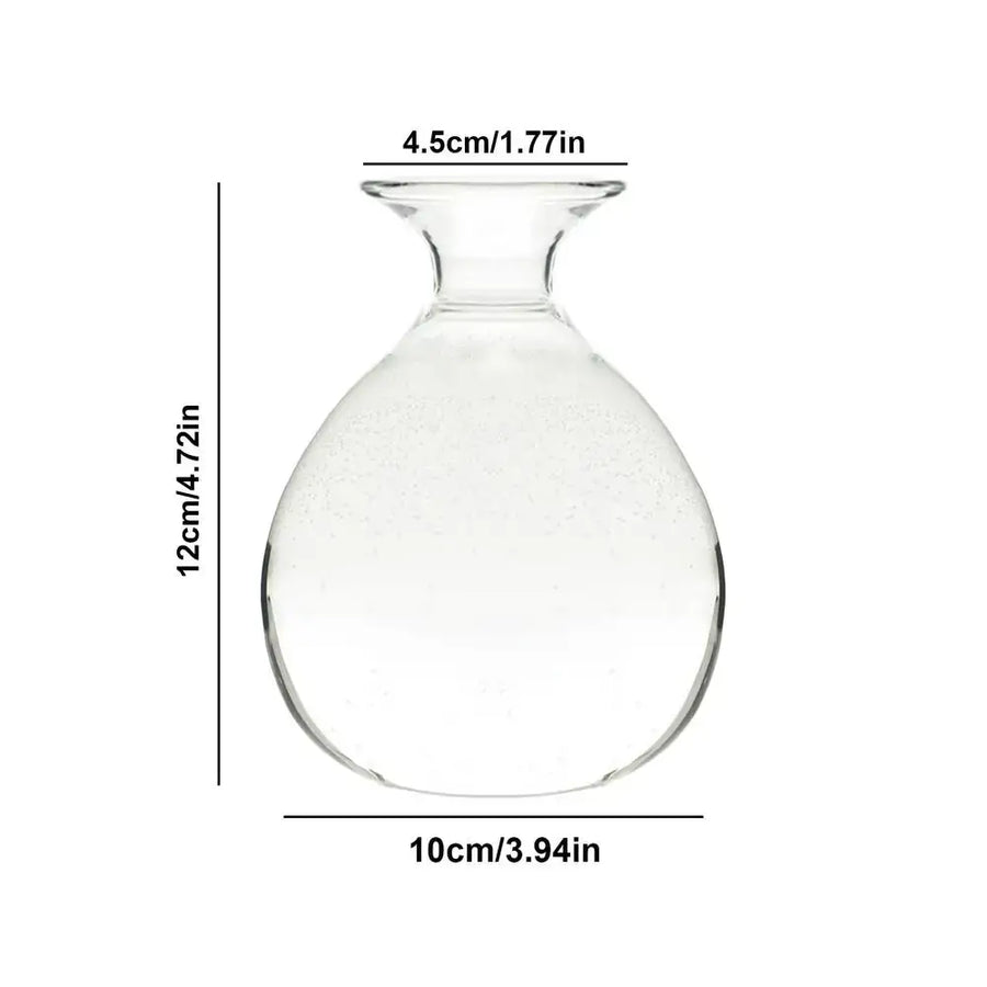 Clear Glass Hydroponic Vase - Water drop / CHINA