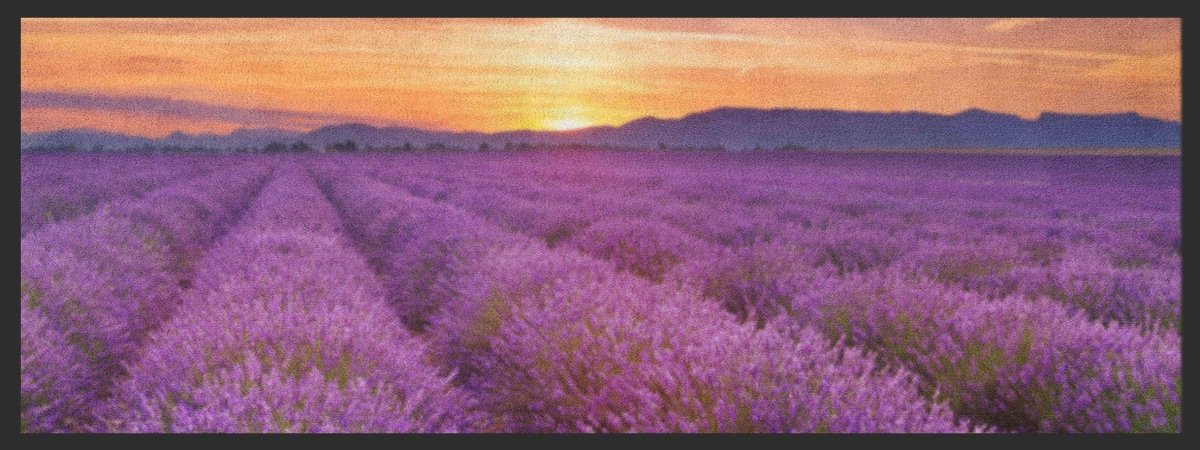 Küchenteppich Lavendel 4366