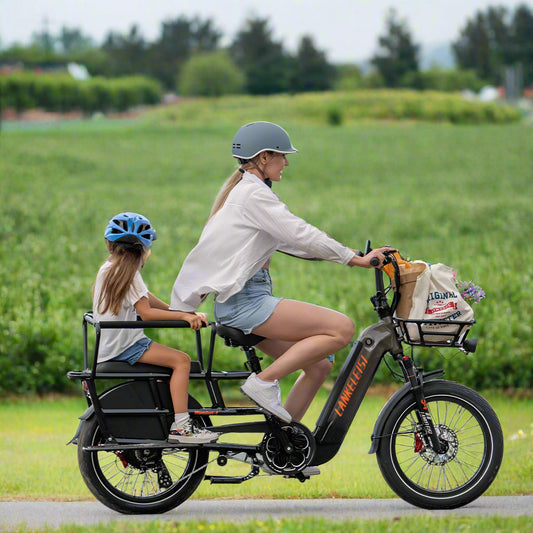 Lankeleisi Wombat-1 1000W 20-Inch Longtail Cargo Electric Bike with Torque Sensor and 48V 20Ah 960Wh Battery