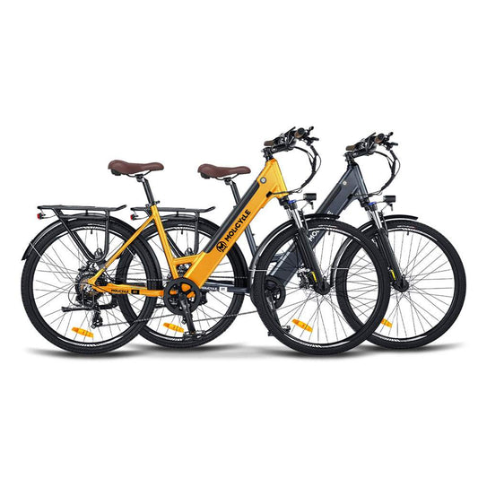 Molicycle R1 750W Dual Motor Electric Bike Bundle - Set of 2
