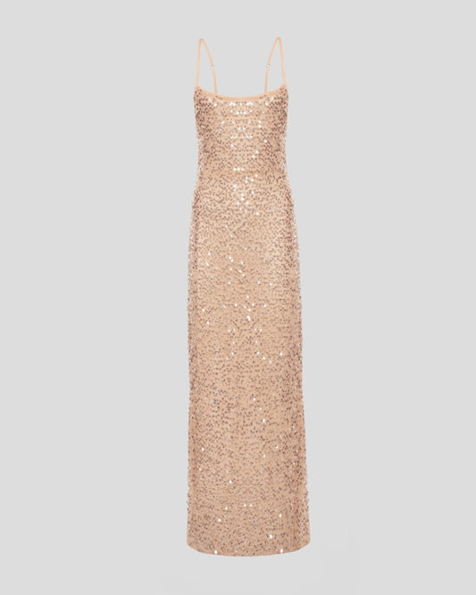 Shimmering Maxi Dress