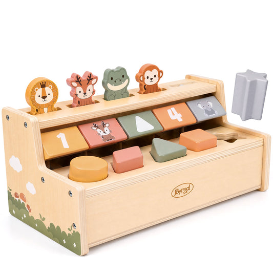 Wooden Pop-Up Shape Sorter Toy for Babies & Toddlers